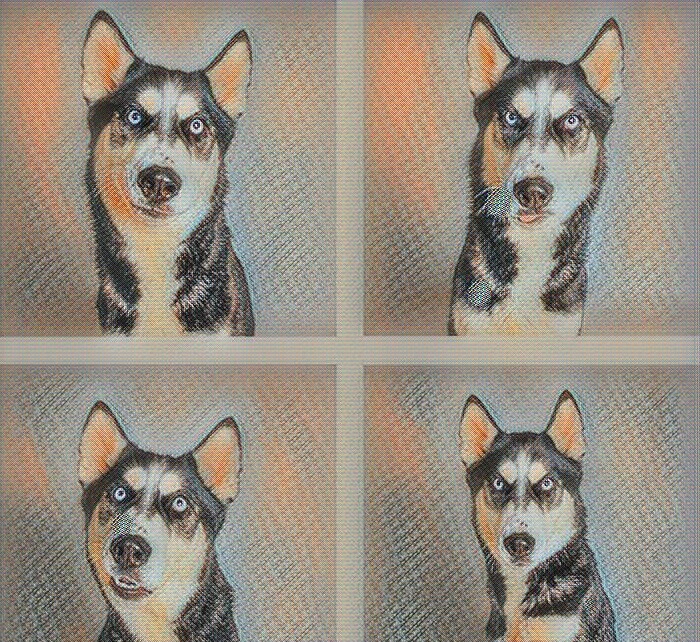 Сахарный диабет у собак