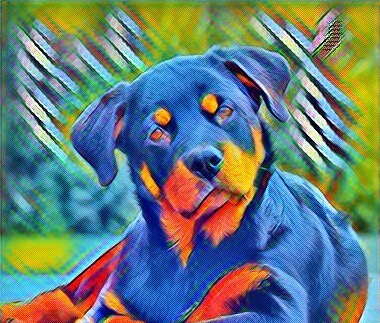 Вздутие живота у собак