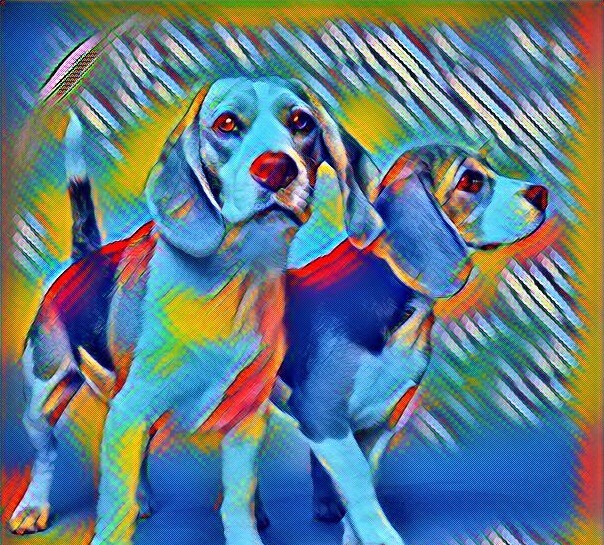 Рахит у собак