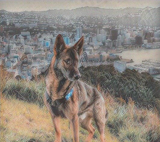 Межпозвоночная грыжа у собак