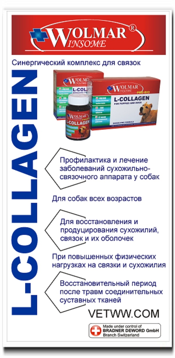 Препараты для суставов