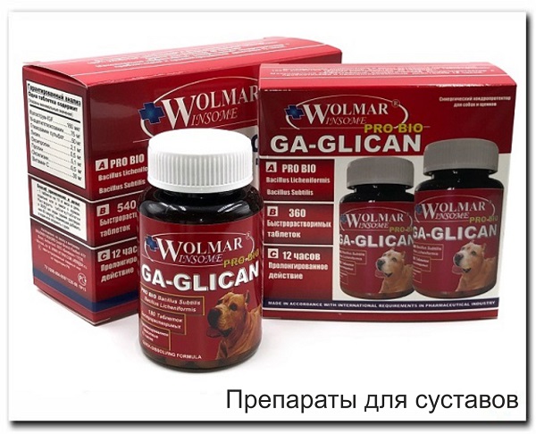 Препараты для суставов
