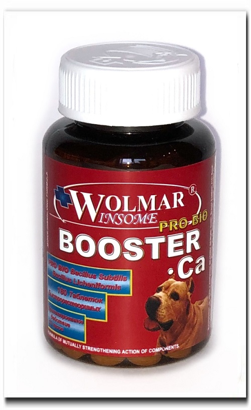 Витамин А (ретинол) для собак