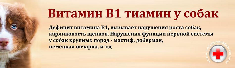 Витамины для собак А, В
