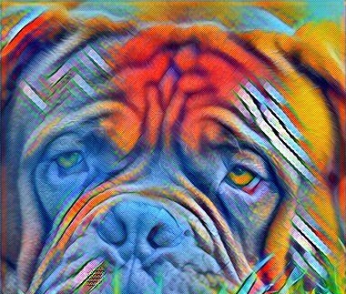 Дерматомикоз у собак