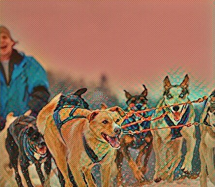 Пиодермия у собак