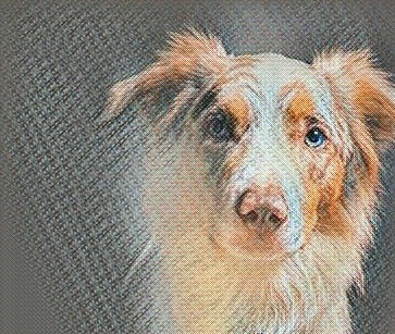 Кератит у собак