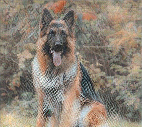 Остеомиелит у собак