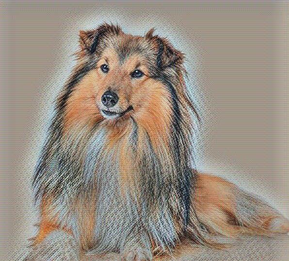 Энтероколит собак