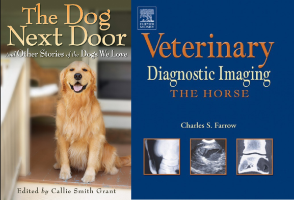 Грыжа межпозвоночного диска у собак