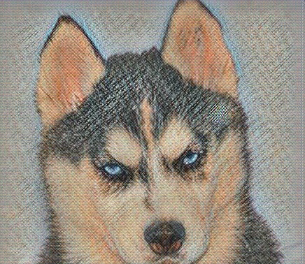 Глаукома собак