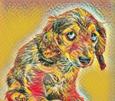 Пиотравматический дерматит у собак