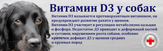 Витамин Д для собак и щенков
