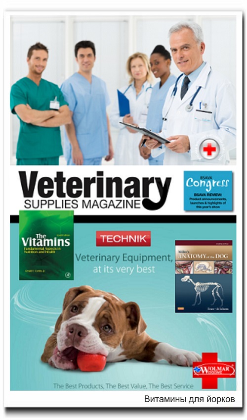 Витамины для йорков и их щенков