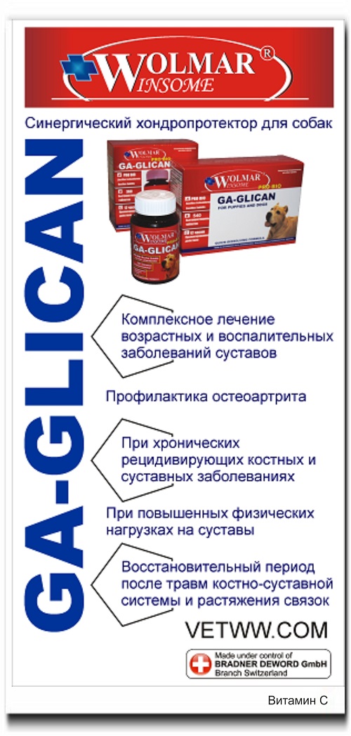 хондропротектор для собак