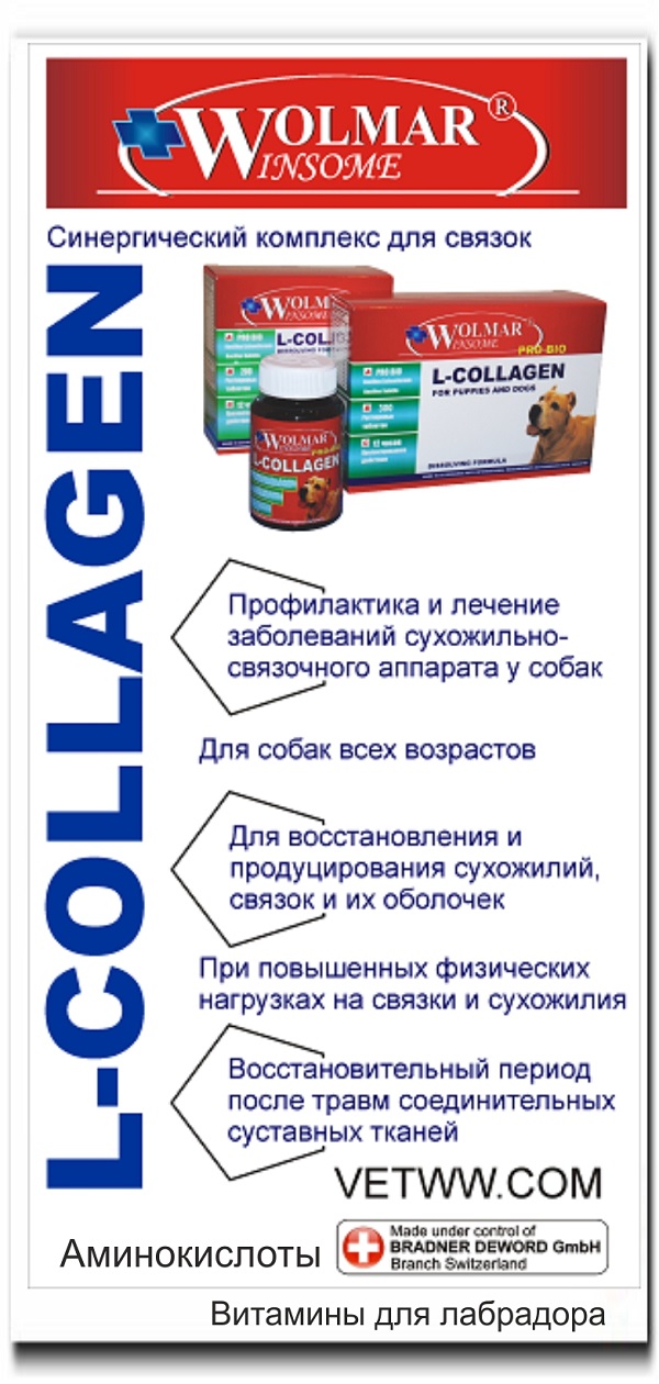 Витамины для лабрадора