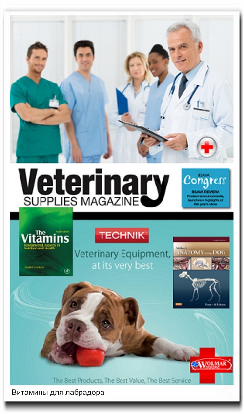 Витамины для лабрадора