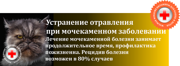 для стерилизованных кошек и кастрированных котов