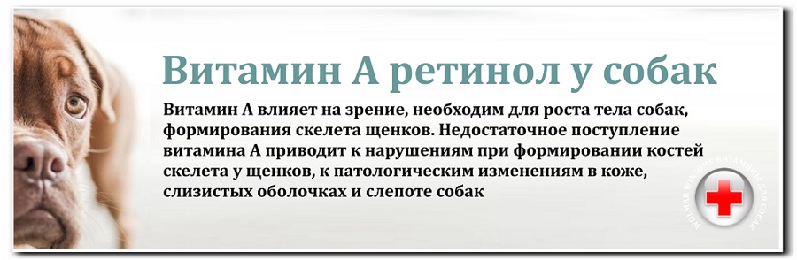 Витамины для собак Витамины для собак А, В, С, Д,