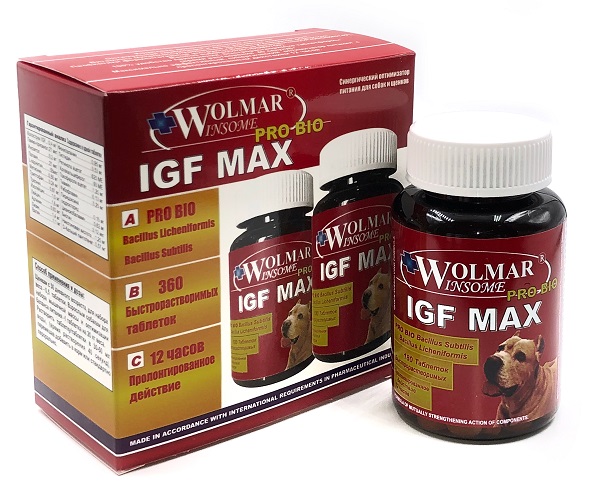 Витамины для собак А, В, С, Д, Е, Н значения, свойства и потребности у