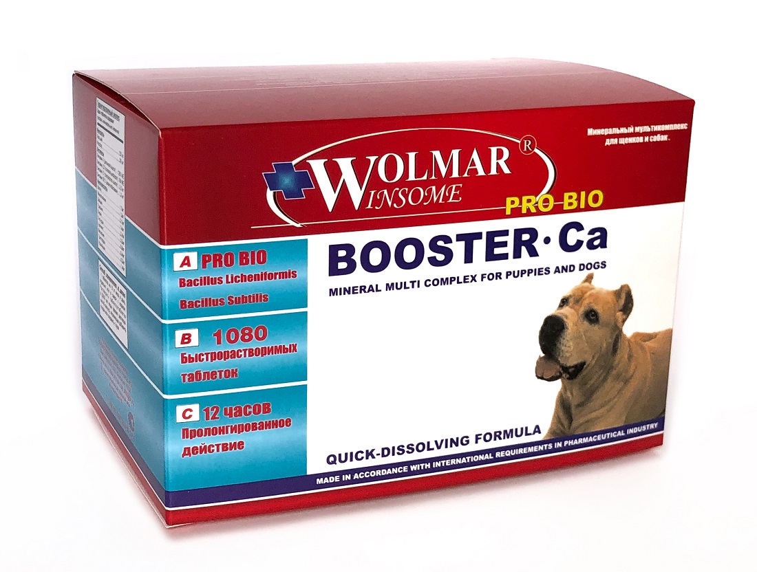 WOLMAR WINSOME® PRO BIO BOOSTER Сa - 1080 таблеток