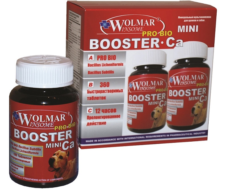 WOLMAR WINSOME® PRO BIO BOOSTER Ca MINI – 360 таблеток