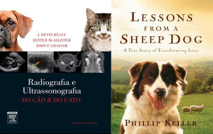 Тендинит у собак