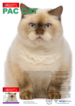 Витамины для кошек от мочекаменной болезни thumbnail